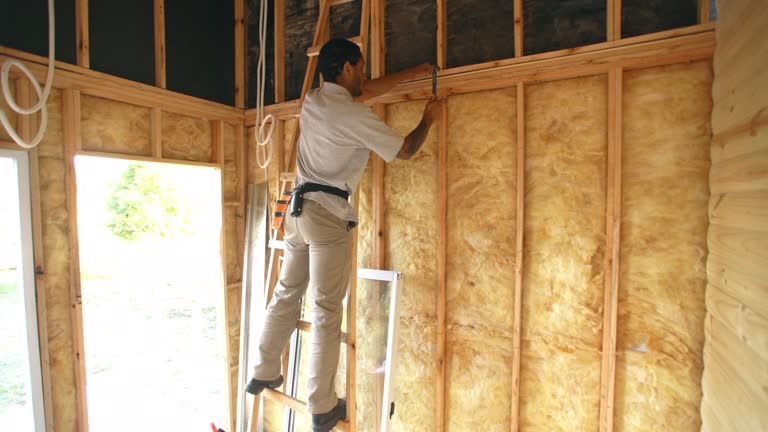 Types of Insulation We Offer in Euless, TX