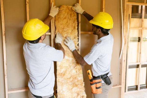 Eco-Friendly or Green Insulation Solutions in Euless, TX